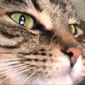 Meet your Posher, Ellie